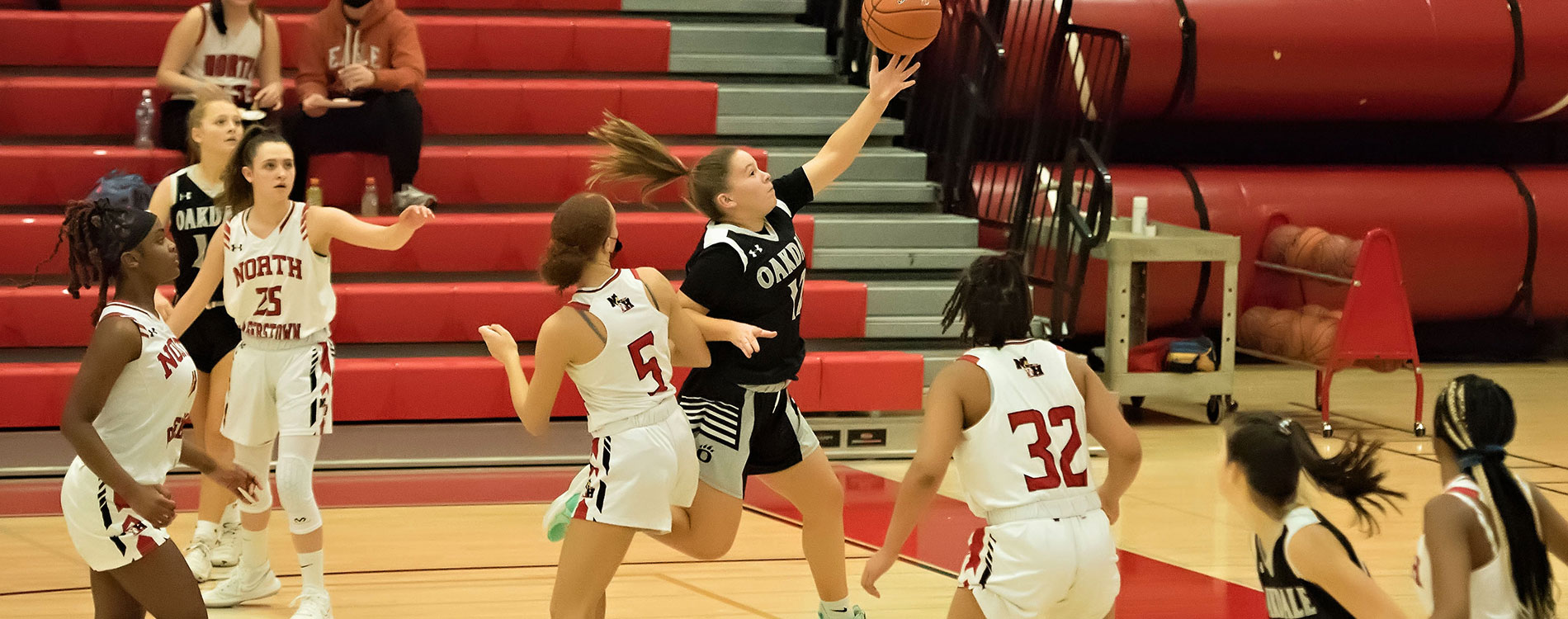 Lady Bear Basketball Camps