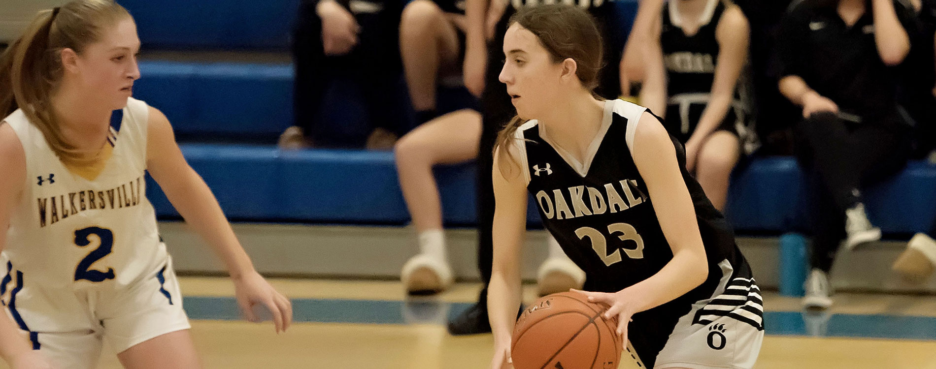 Lady Bear Basketball Camps